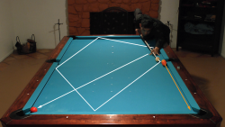 pool trick shot video link