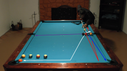 pool trick shot video
